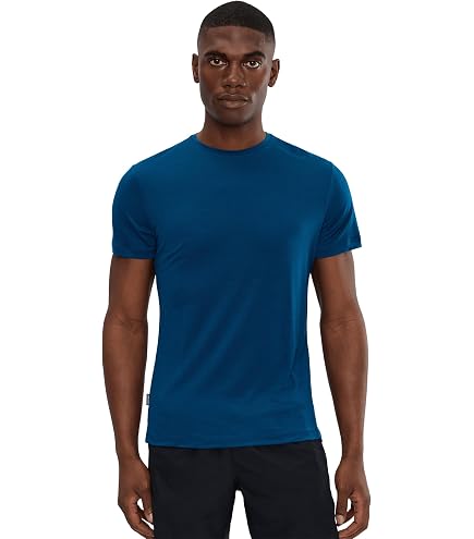 Amazon.com: Icebreaker Mens Merino Blend 125 Cool-Lite™ Sphere